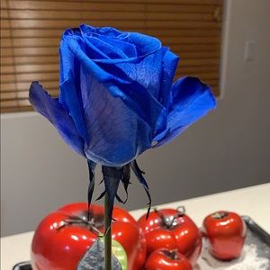 Meet your Posher, Fabiola